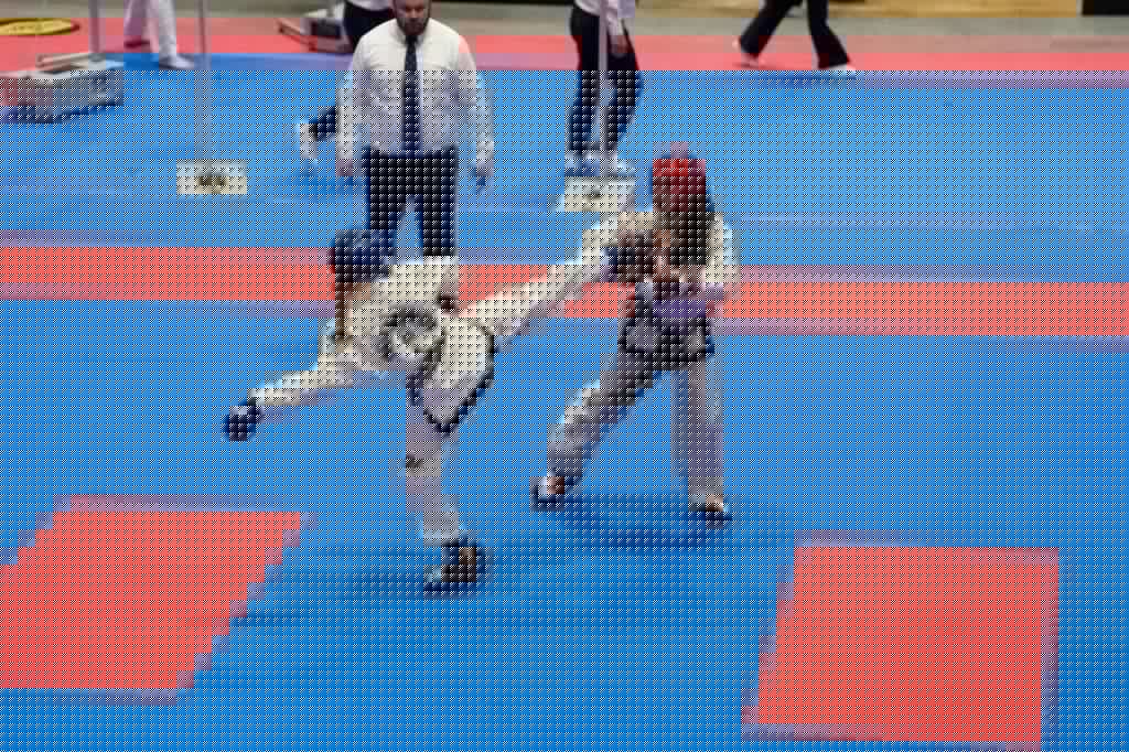 Juniori BiH briljiraju na Evropskom taekwondo prvenstvu u Sloveniji, prvog dana četiri medalje