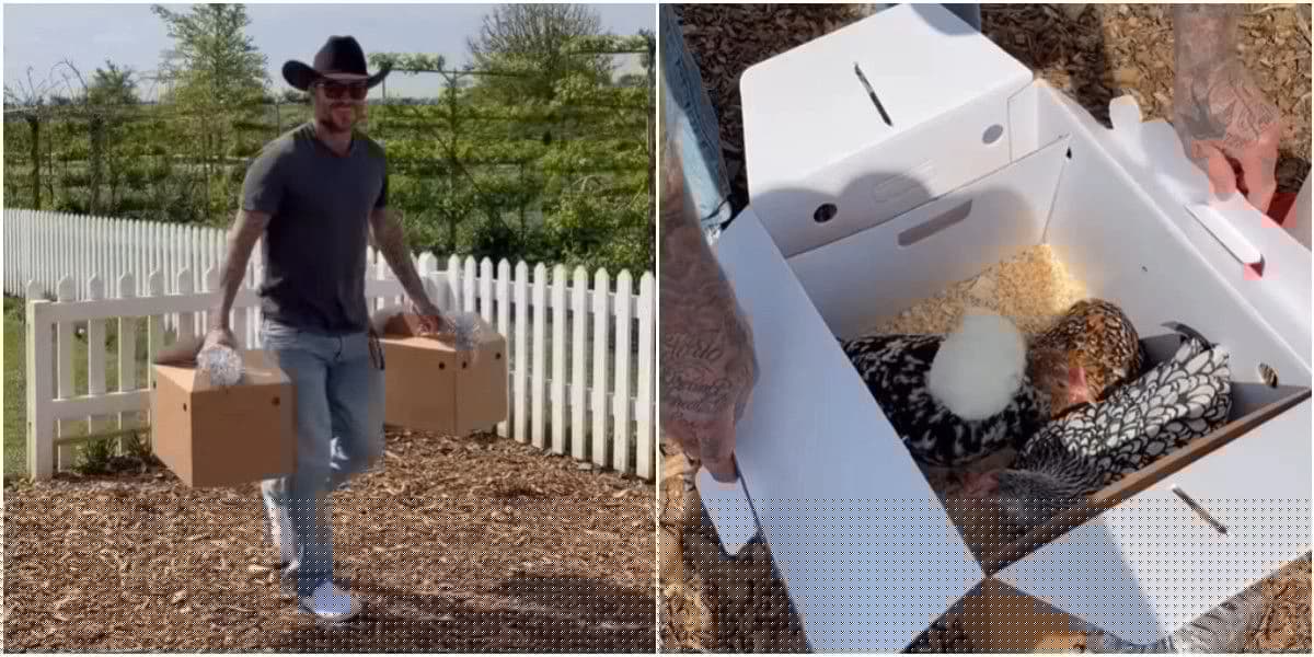 David Beckham za 51. rođendan od sinova i kćerke dobio jedinstveni poklon: "Tako su lijepi"