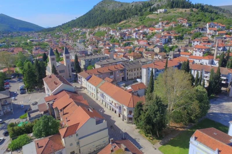 Čapljina