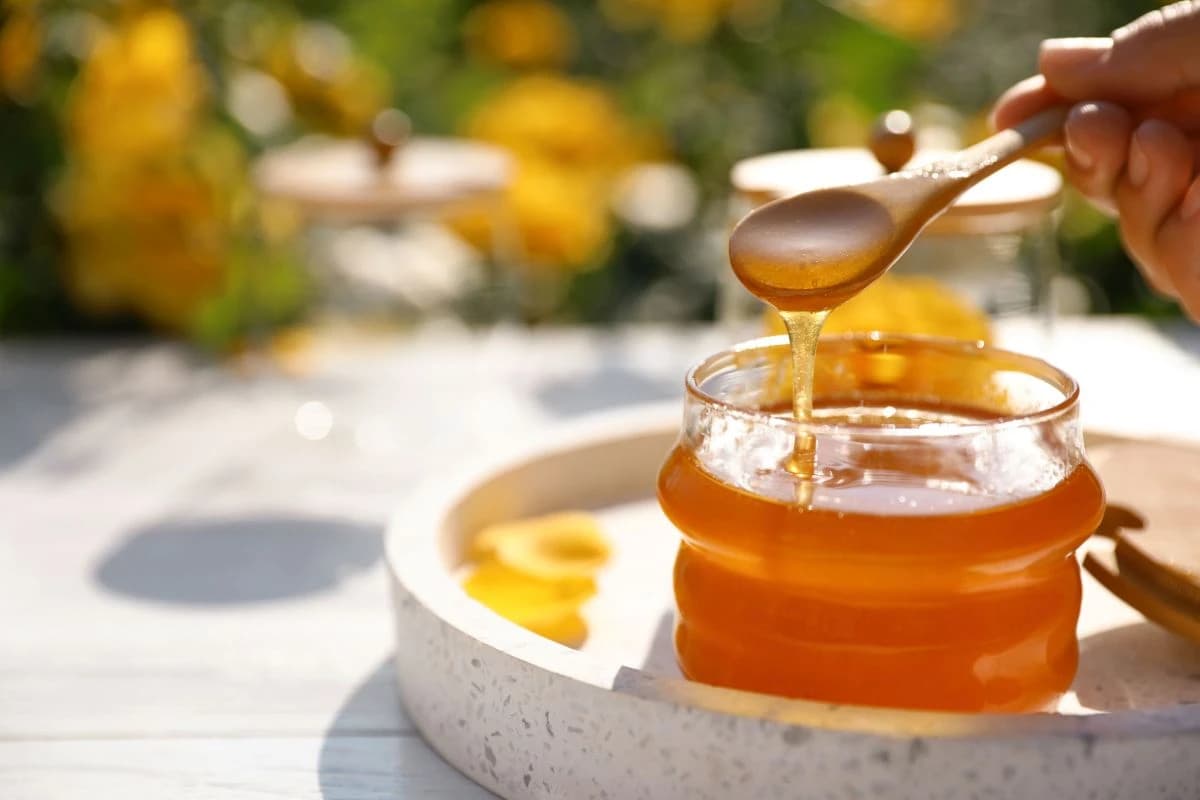 Manuka med, zašto je sve dobar, gdje ga kupiti i kako konzumirati