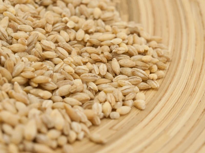 Košta malo, a prepuna je kolagena: Moćna žitarica koja podmlađuje, čuva crijeva i jača kosti
