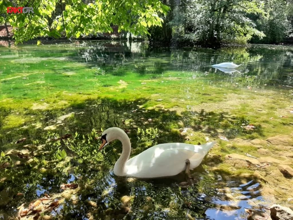 Oblačno u Bosni, sunčano u Hercegovini