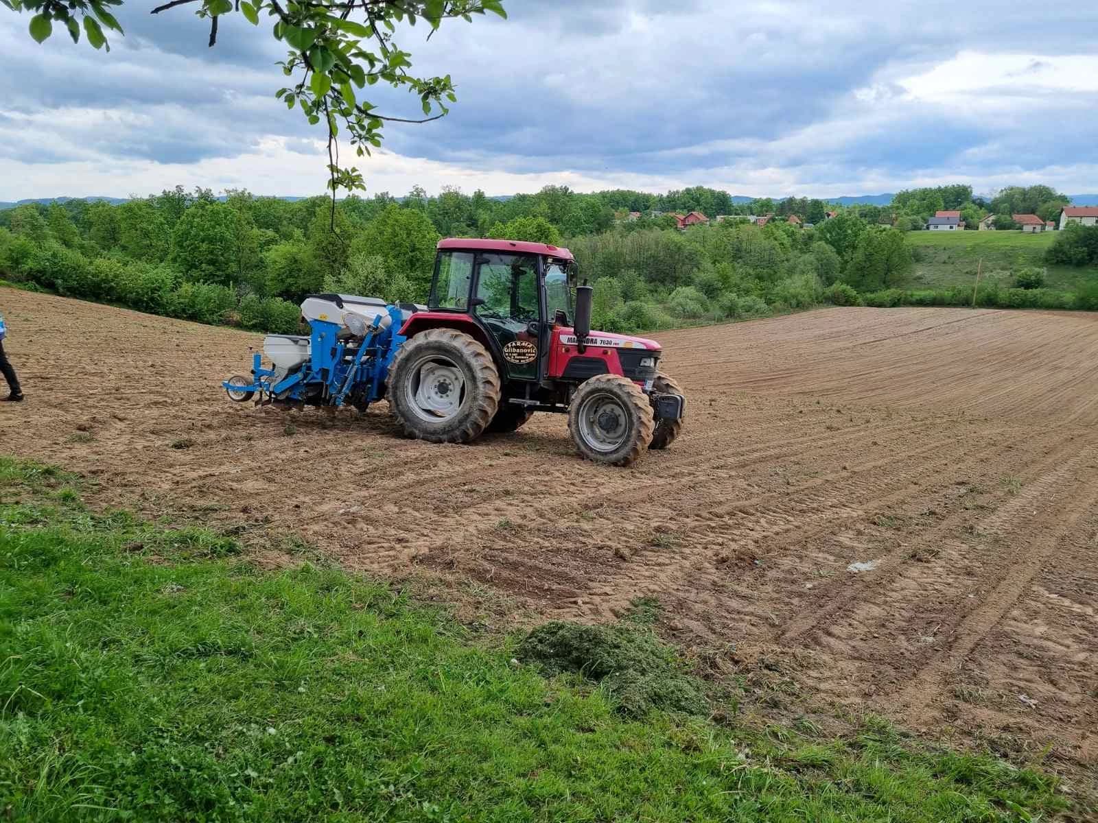 Sjetva u Živinicama