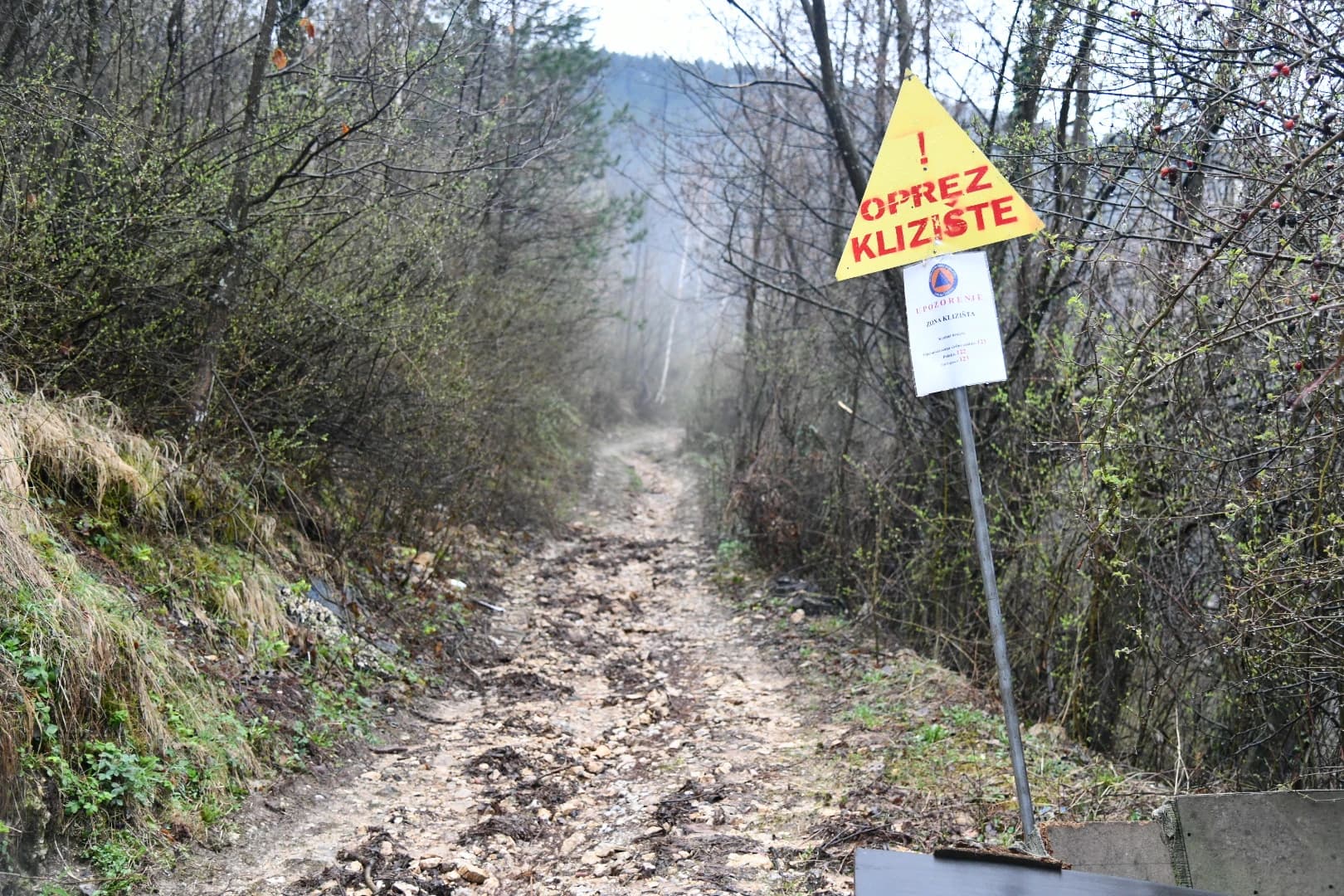 Tlo se pokrenulo u oktobru 2024. godine