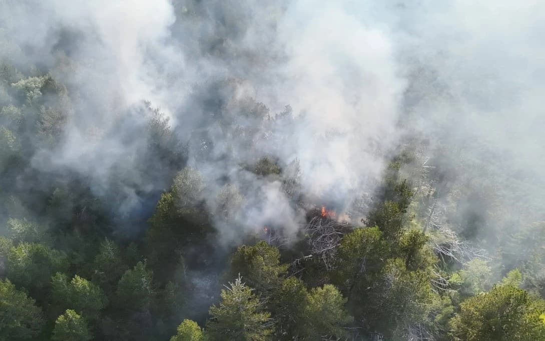 Grom izazvao požar na Čvrsnici: Vatrogasci se probijaju do požarišta, očekuju pomoć iz zraka
