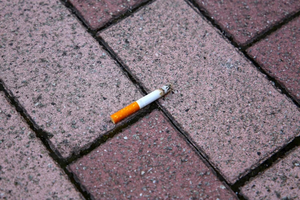 Ako ostavite neugašenu cigaretu na cesti, može li izazvati požar?