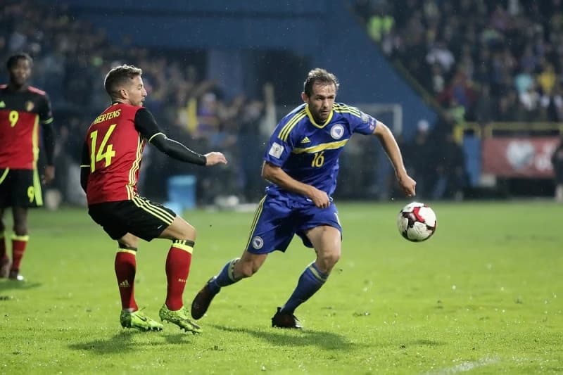 Senad Lulić u dresu BiH