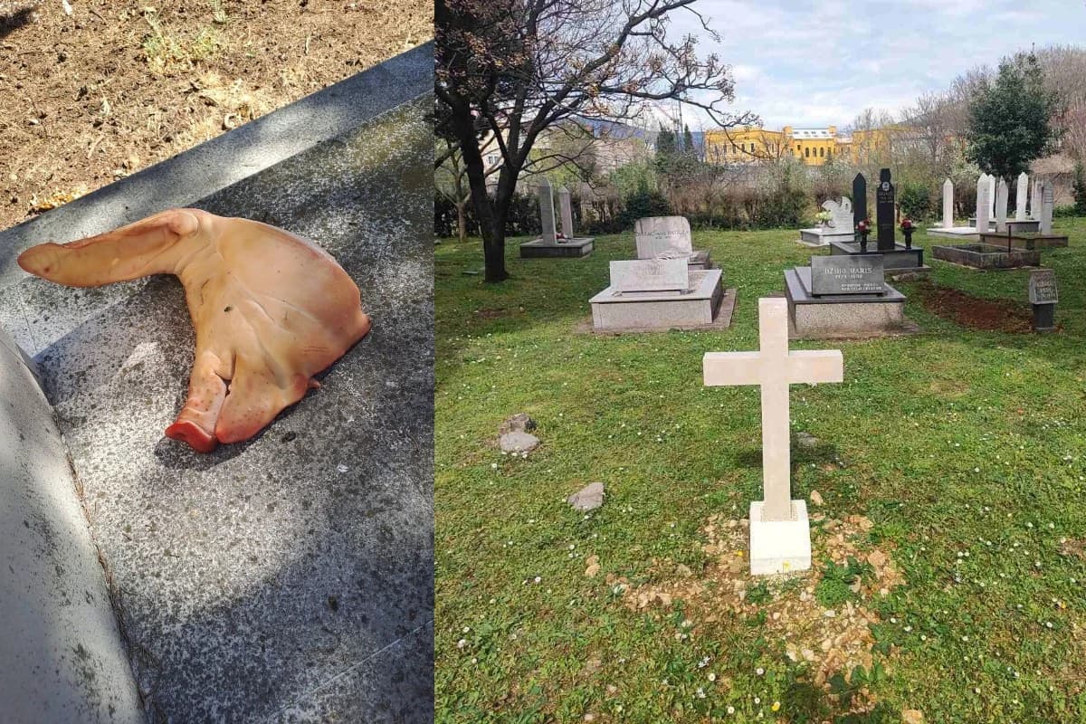 Svinjska glava i krstovi u Liska haremu u Mostaru!