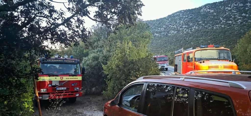 Požar u Buhovu stavljen pod kontrolu, vatrogasci na terenu