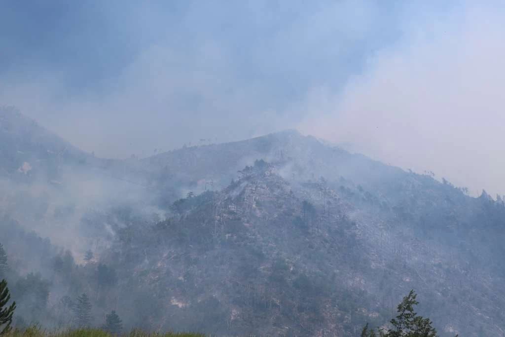 Više požara zabilježeno u Hercegovačko-neretvanskom kantonu