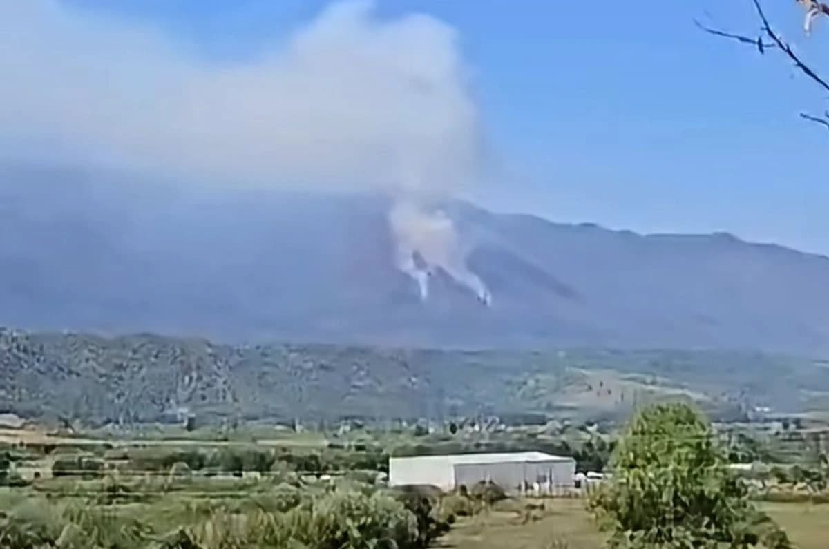 Požar na Plješevici