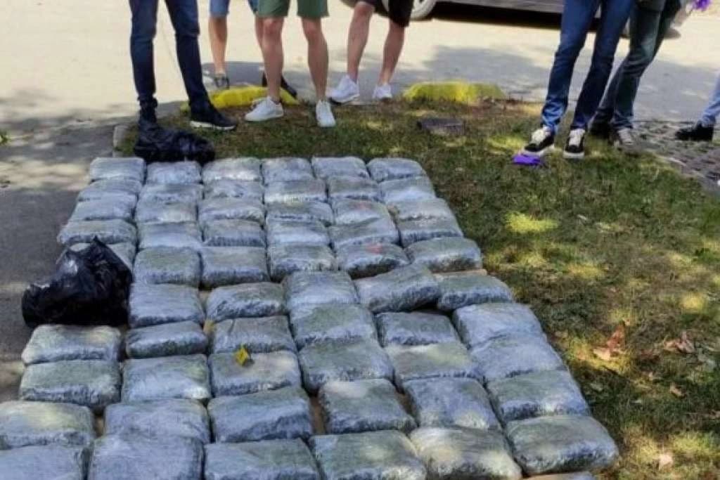 Velika akcija u Sarajevu: Zaplijenjena 73 kilograma kanabisa, privedena jedna osoba