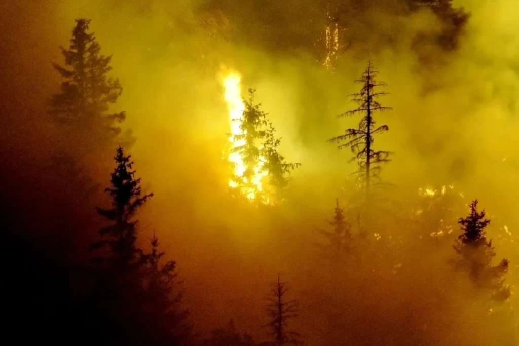 Požar na Trebeviću ponovo se rasplamsao, evakuisan radnik s ugroženog područja