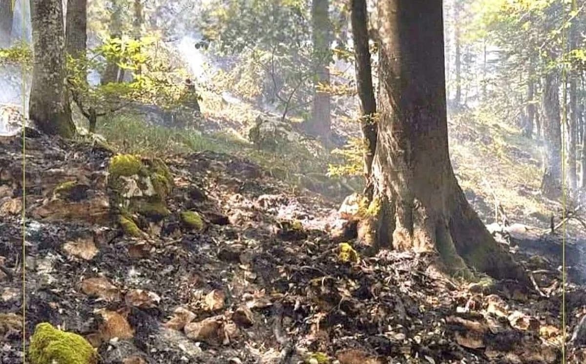 Požar na Plješevici: Bihać tražio helikopter Oružanih snaga BiH, nisu ga dobili