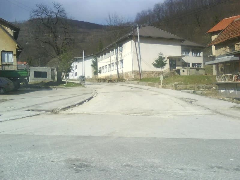 Bradina 