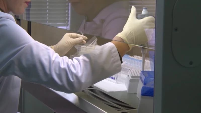 Koronavirus