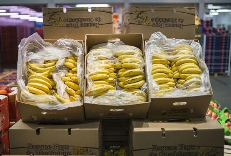 Hrvatska: U paketima s bananama pronađeno 18,2 kilograma kokaina