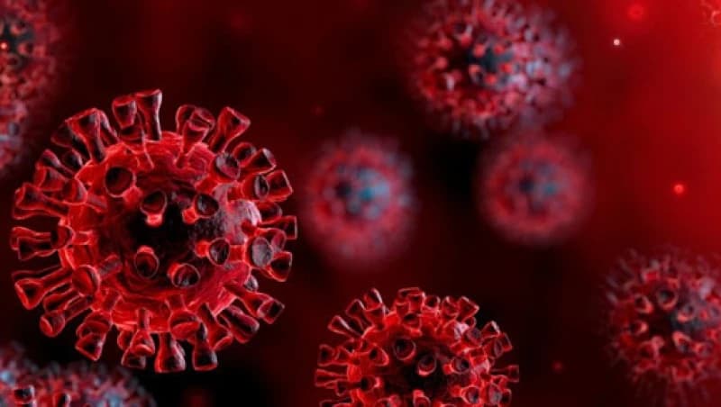Naučnici zabilježili trenutak u kojem smrtonosni koronavirus ulazi u ćeliju