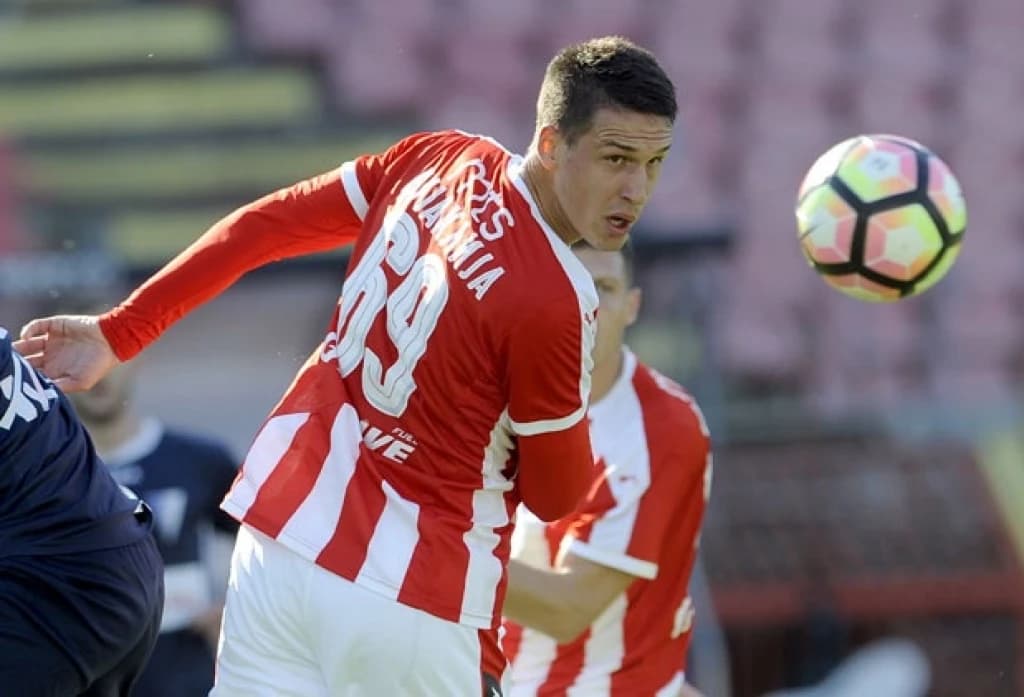 Borac doveo bivšeg napadača Crvene zvezde