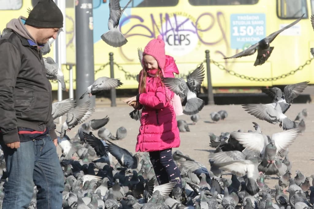 Meteorolozi najavljuju sunčan početak 2020. godine
